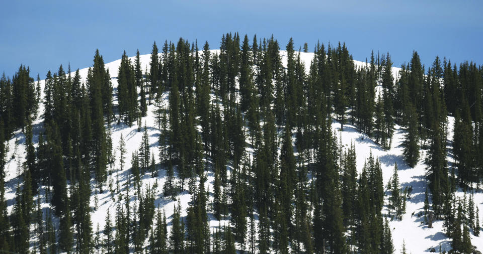 This Tuesday, June 11, 2019, photo shows snow covering a mountain in the Wasatch Range near Salt Lake City. The summer's melting snowpack is creating raging rivers that are running high, fast and icy cold. The state's snowpack this winter was about 150 percent higher than the historical average and double the previous year, which was the driest on record dating back to 1874, said Brian McInerney, hydrologist for the National Weather Service in Salt Lake City. About twice as much snow remains on the mountain peaks as normal because cold and wet conditions in late May added to snowpack. (AP Photo/Rick Bowmer)