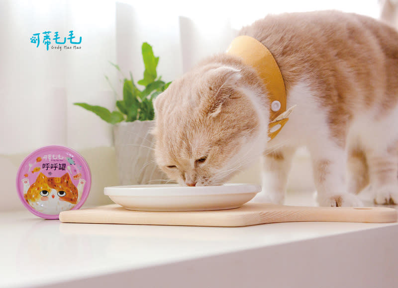 營養的貓主食罐「呼呼罐」，由可蒂毛毛提供