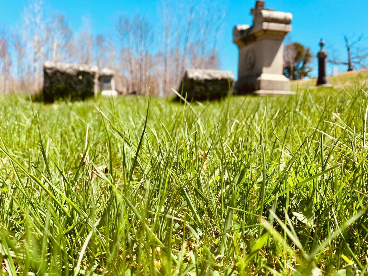 A green burial could mean forgoing embalming, using a biodegradable casket or a shroud and burial in a natural cemetery with biodegradable grave-markers. (Nipun Tiwari/ CBC News - image credit)