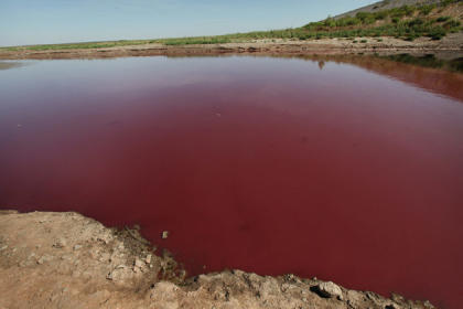 Ein See in Texas färbte sich rot. (Bild: AFP)