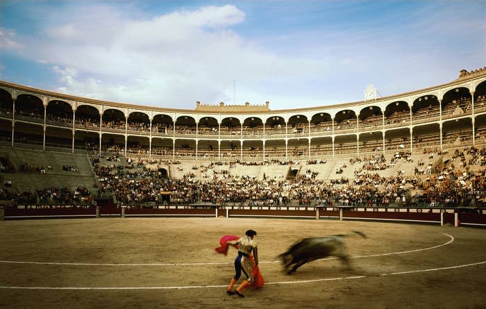 Matador facing off with a bull in blurred motion