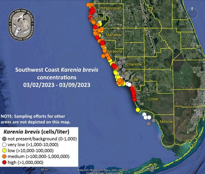 Red tide levels along Florida's west coast as of March 9, 2023.