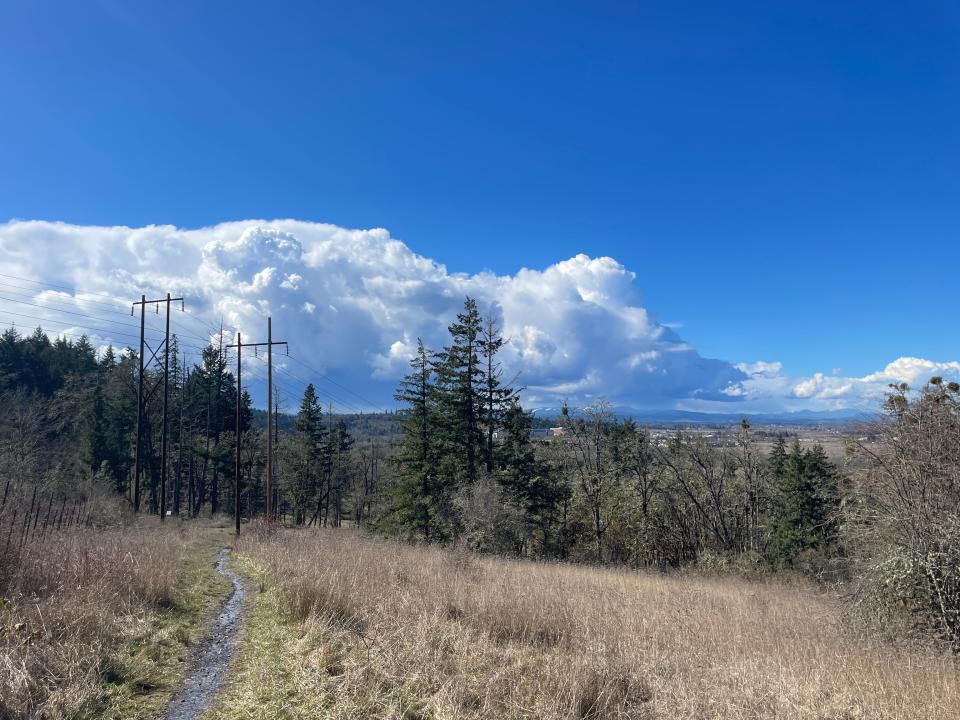 Views from Wild Iris Ridge Trail.