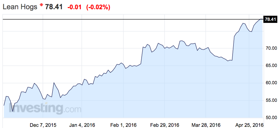 Pork futures may 2016