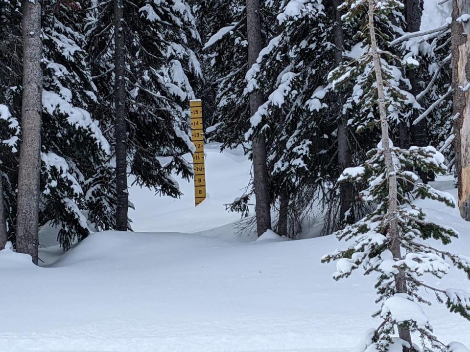 Washington State Department of Transportation said the snow measured 80 inches deep on Tuesday, March 21, 2023, at the summit of the North Cascades Highway. An earlier measurement was at 100 inches, WSDOT said in a Facebook post.