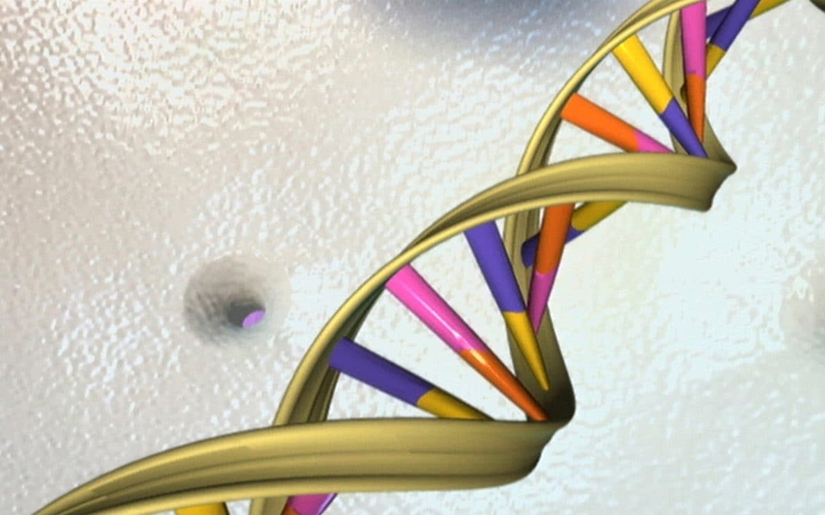 Artist's illustration of a DNA double helix - National Human Genome Research Institute