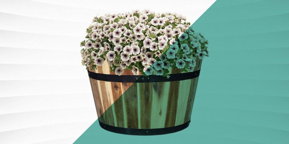 The 9 Best Barrel Planters for Your Outdoor Space