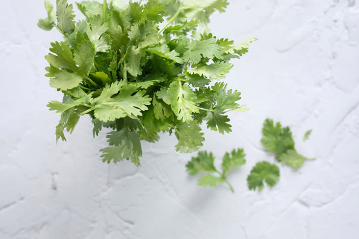 Garnish with some cilantro leaves to bring lightness to your meal.