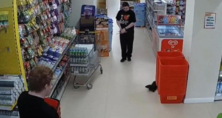 Otter caught wandering around supermarket in CCTV footage