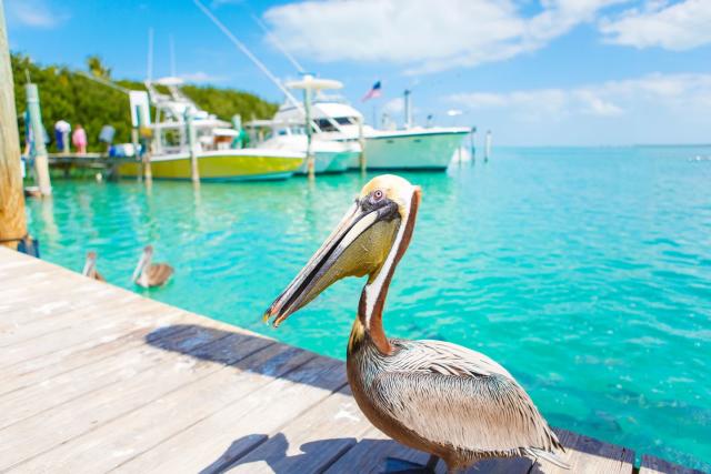 Cute Southern Beach Towns To Add To Your Vacation Bucket List 