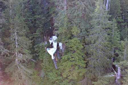 An aerial view of a sightseeing plane that crashed in southeast Alaska is seen in this undated picture from the National Transportation Safety Board (NTSB) released June 28, 2015. REUTERS/NTSB/Handout