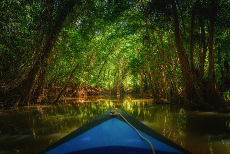 Hike, dive, kayak and swim in the rainforests of this mountainous Caribbean island (Getty Images/iStockphoto)