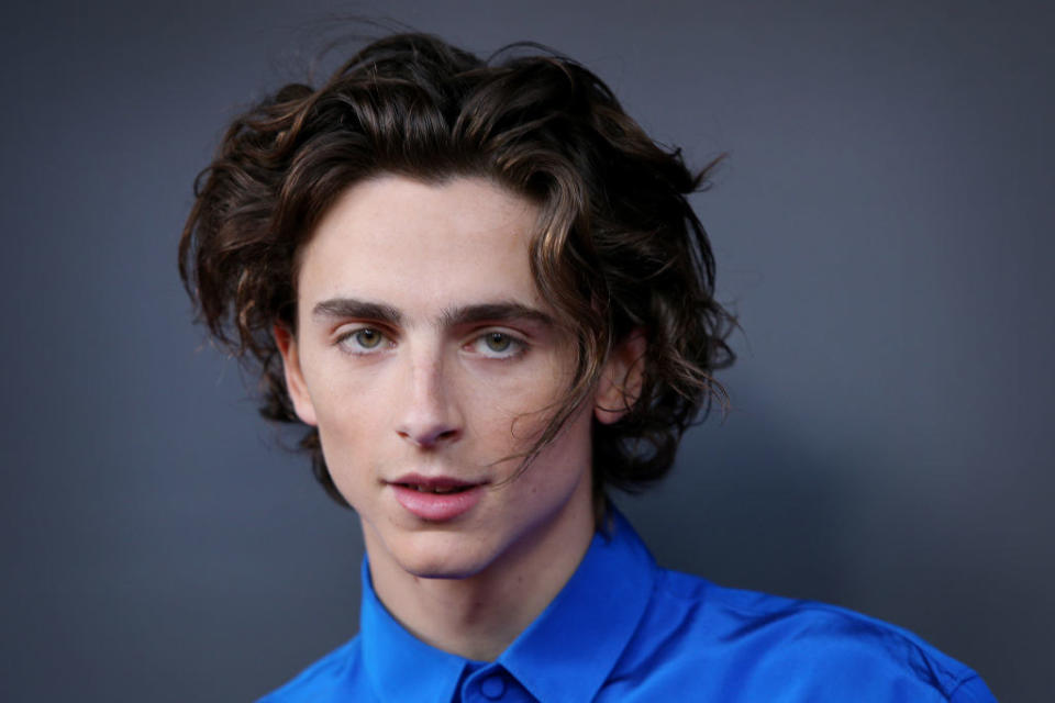 closeup of Timothee Chalamet