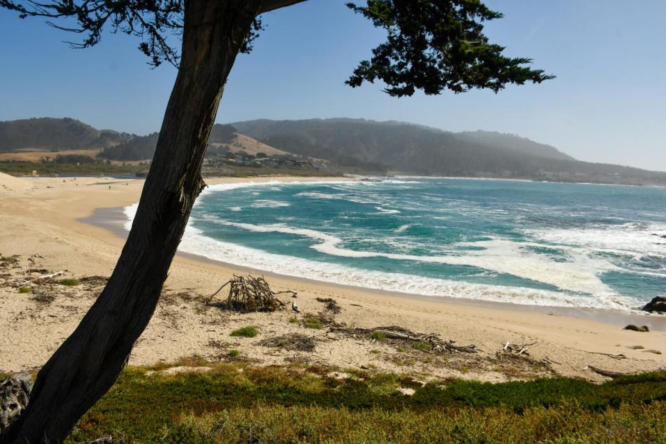 Carmel River State Beach