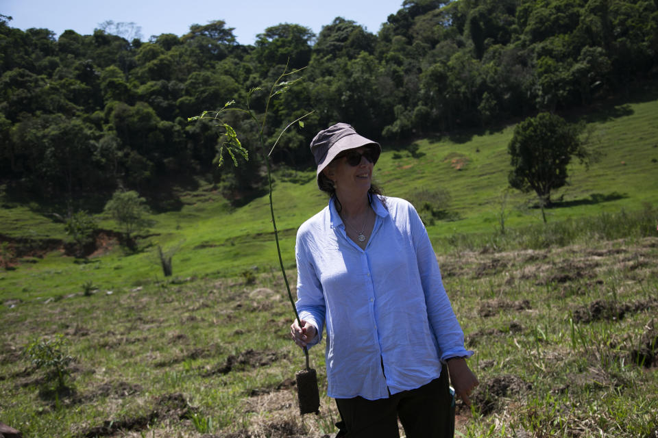 Sarah Darwin, the great-great-granddaughter of Charles Darwin, participates in the planting of tree seedlings that will form an ecological corridor to allow a safe passageway for the region's most emblematic and endangered species: the golden lion tamarin. in the rural interior of Rio de Janeiro, Silva Jardim. Brazil, Friday, Nov. 10, 2023. (AP Photo/Bruna Prado)