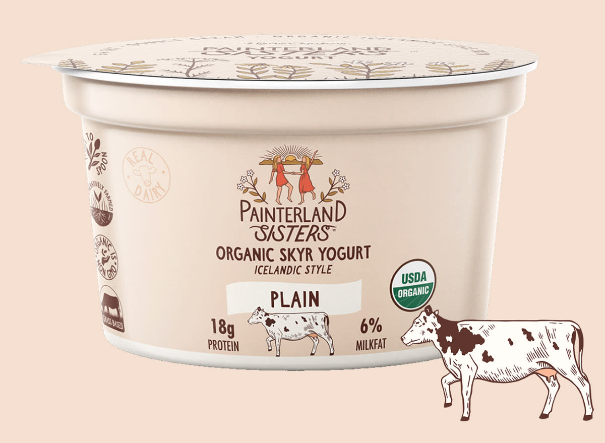 Painterland Sisters Organic Skyr Yogurt Plain