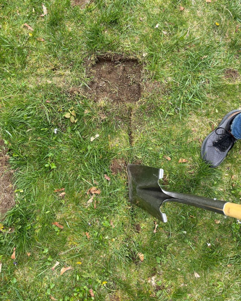 Gardener digging out edging to in preparation to build raised bed.