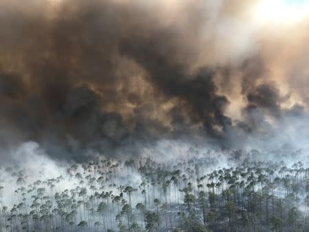 The West Mims fire burns in the Okefenokee National Wildlife Refuge, Georgia, U.S. April 25, 2017. Fish and Wildlife Service/Michael Lusk/Handout via REUTERS