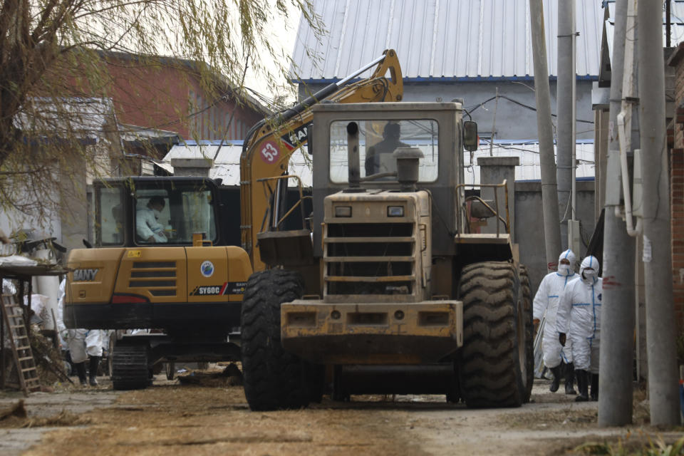 Workers in protective clothing operate heavy machinery at a sealed-off pig farm after the latest incident of African swine flu outbreak on the outskirts of Beijing, China, Friday, Nov. 23, 2018. Reeling from rising feed costs in Beijing's tariff fight with U.S. President Donald Trump, Chinese pig farmers face a new blow from an outbreak of African swine fever that has sent an economic shockwave through the countryside. (AP Photo/Ng Han Guan)