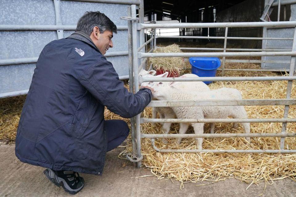 Prime Minister Rishi Sunak meeting lambs during a visit to Rowlinson's Farm, a dairy, beef, sheep farm in Gawsworth, Macclesfield, while on the General Election campaign trail
