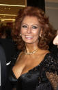 <p>Sophia Loren a longtemps représenté l’élégance et la beauté à Hollywood. L’actrice a par exemple brillé dans des films comme <em>“La Ciociara”</em> (pour lequel elle obtient l’Oscar de la meilleure actrice en 1962). Mais elle doit cette célébrité à deux titres de reine de beauté : en 1951, elle est première dauphine à Miss Italie et Miss Élégance. </p>