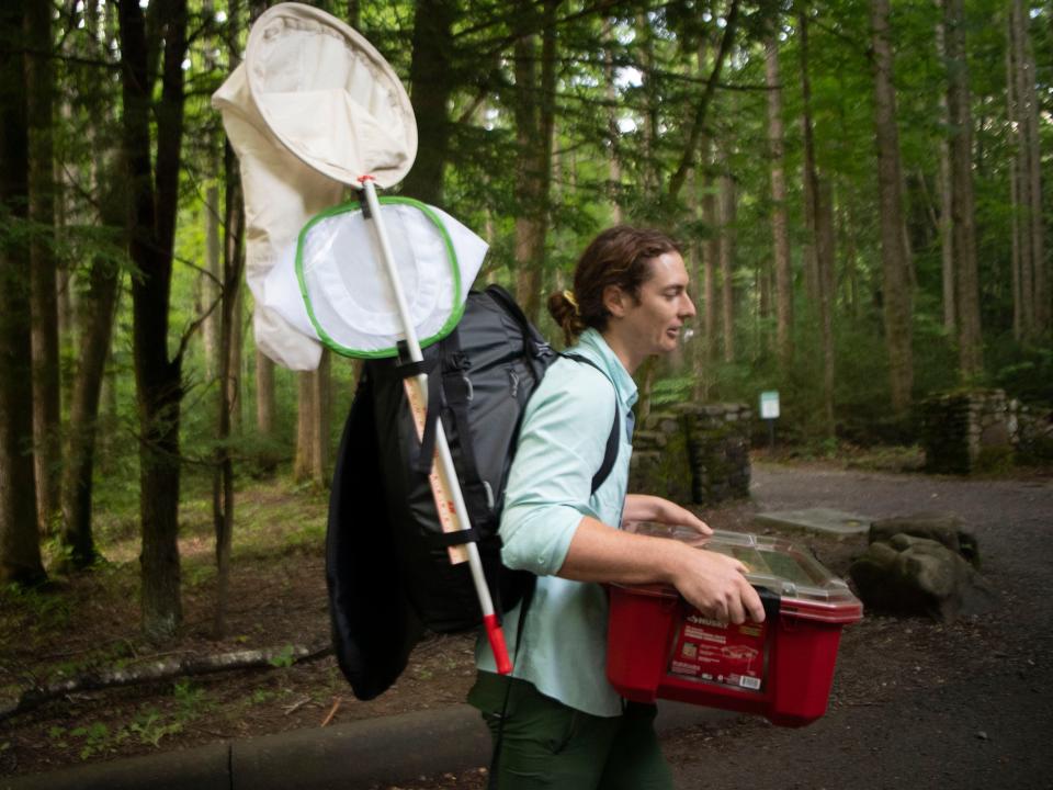 University of Colorado Boulder graduate student Owen Martin carries his research equipment used to study the synchronous fireflies at Elkmont on Wednesday, June 8, 2022. The equipment includes LED's that mimic the fireflies, butterfly nets, video camera, and laptop. 