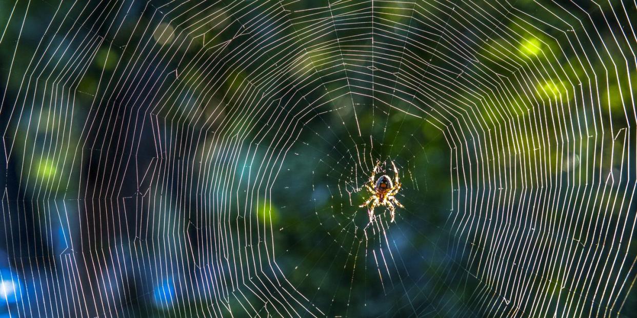 Photo credit: yipengge - Getty Images