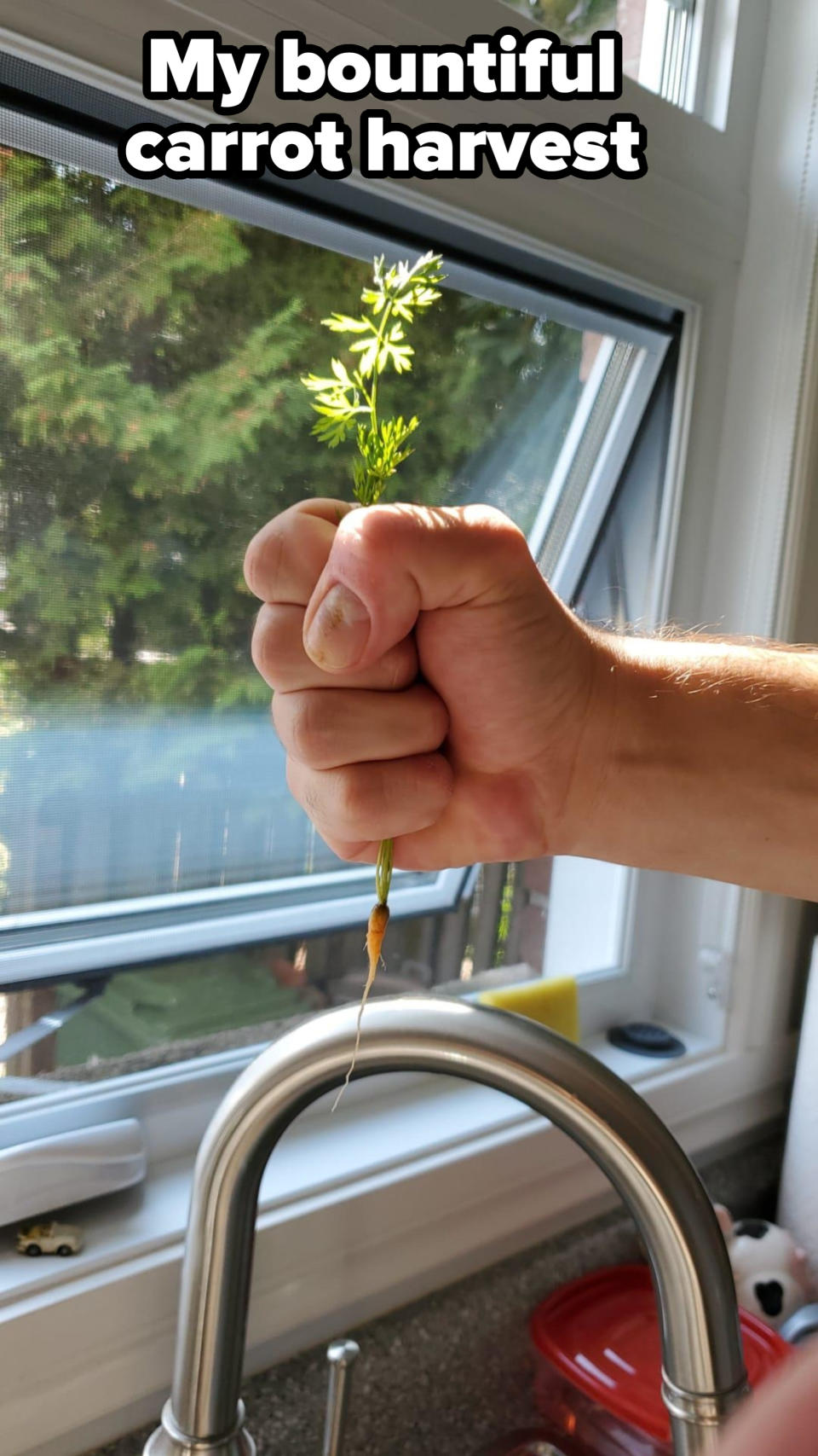 Hand holding a small carrot with greens above a kitchen sink