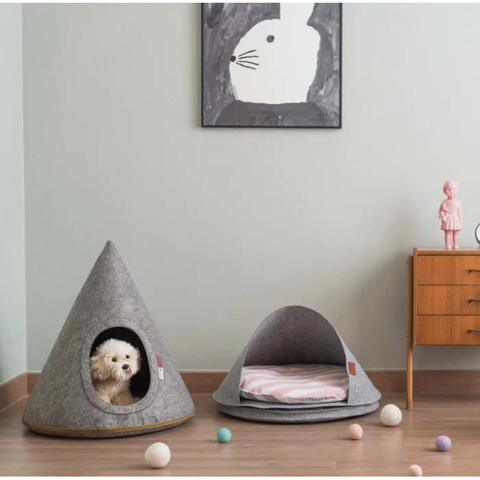 A cozy room features a small dog in a conical pet tent and another empty tent with a striped cushion