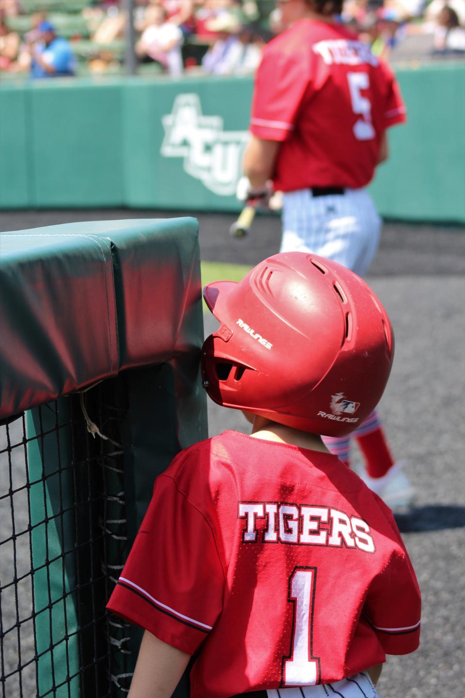 Baylor Nichols, the son of Anson coach Scotty Nichols, watches the game from behind the protective barrier in front of the Tigers' dugout Saturday. Nichols and his older brother Easton were ball boys for the team.
