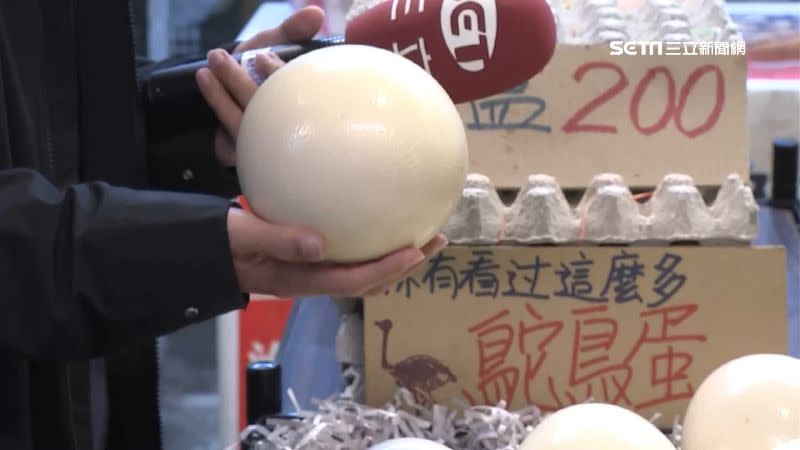 台北永春市場販售鴕鳥蛋，讓人忍不住多看一眼。
