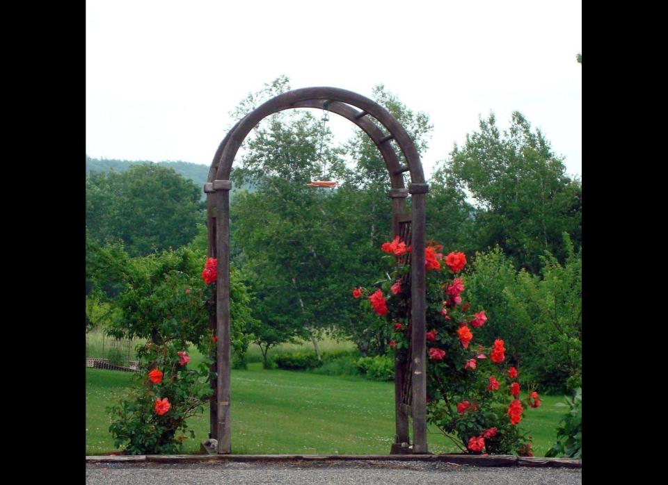 No other garden sight compares to the beauty of an archway filled with climbing flowers. Maybe it's our black thumbs, but we thought it would be much harder to train plants to grow up the arbor. Really, all you need to train them is plant tape or twine tied from the stems/stalks/vines to the structure. Then, sit back and wait for them to grow. For more information, head over to <a href="http://www.homefarming.com/Article/21/training-vertical-plants" target="_hplink">Home Farming</a>.     Flickr photo by <a href="http://www.flickr.com/photos/22280677@N07/4683897164/in/photostream/" target="_hplink">Svadilfari</a>