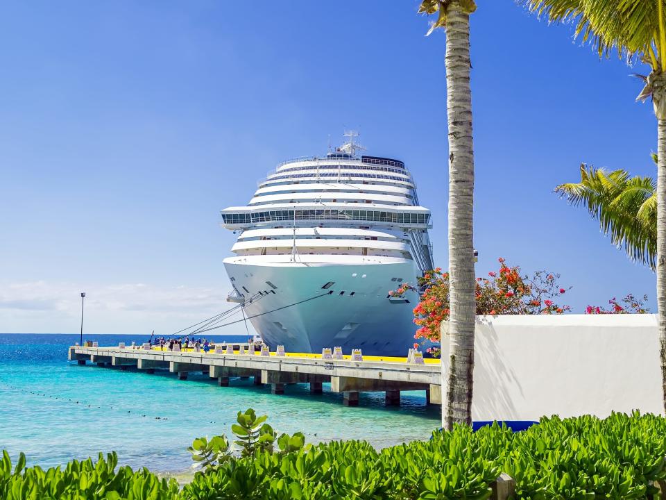 cruise ship docked in port