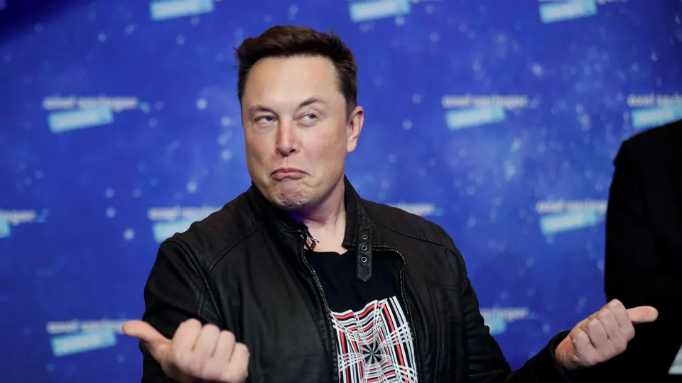 Elon Musk, Twitter, Bots