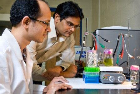 Ramaraja Ramasamy,right, and Yogeswaran Umasankar work together to capture energy created during photosynthesis. Ramasamy is an assistant professor in the UGA College of Engineering and Umasankar is postdoctoral research associate working in his lab.