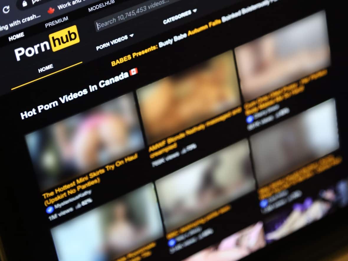 An advisory board with a range of disciplines will be offering their expertise to the Ottawa-based private equity firm that last month acquired MindGeek, home to a number of adult websites including Pornhub. (Althea Manasan/CBC - image credit)