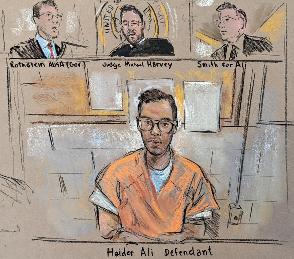 Haider Ali appeared virtually before Judge Michael Harvey on April 8, 2022. (Bill Hennessy)