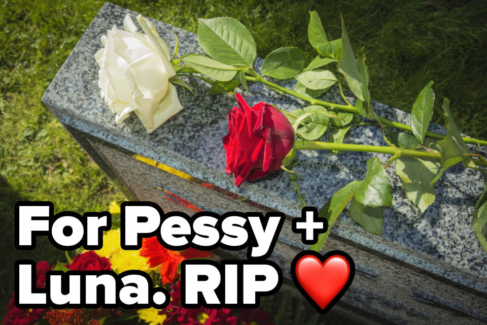 a gravestone with the words "For Pessy + Luna RIP"