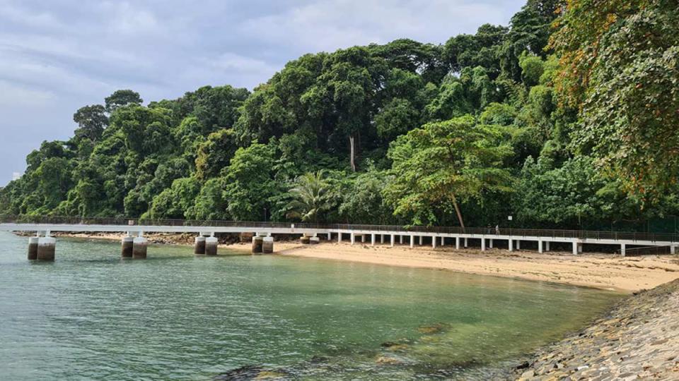 best hiking trail in singapore - labrador nature reserve hero boardwalk beach