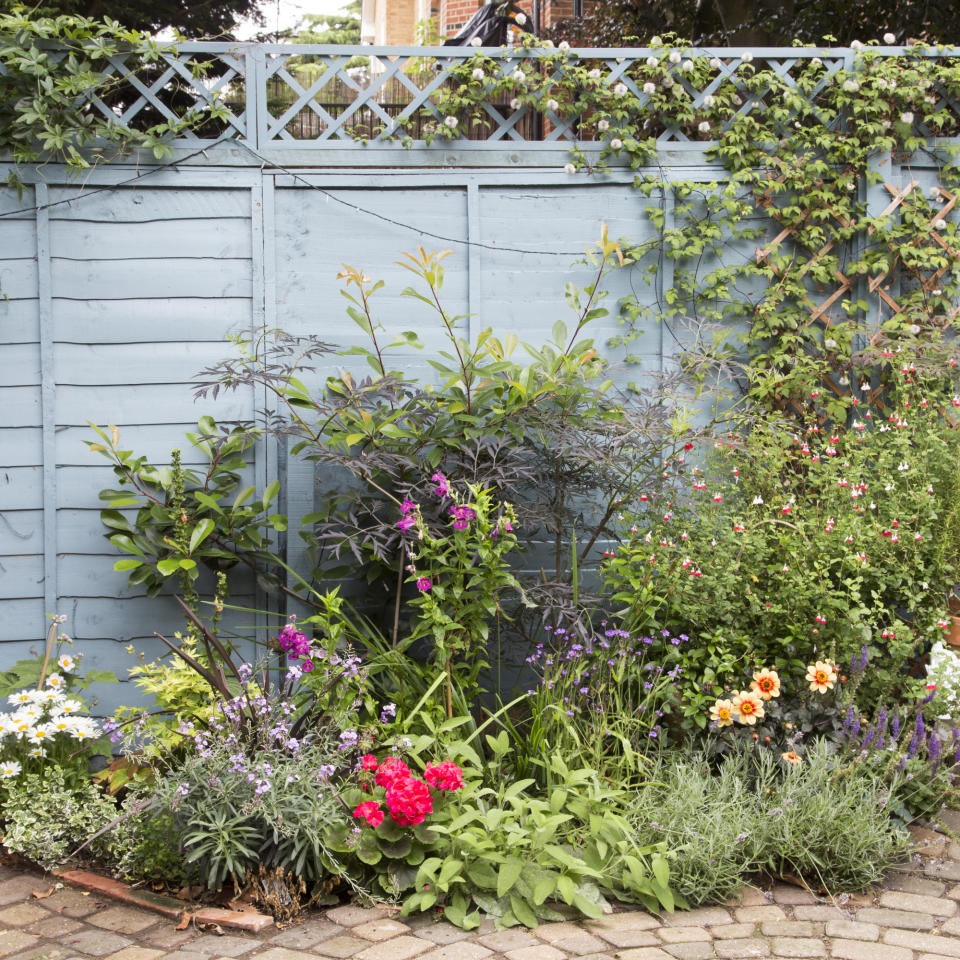 Include low-maintenance garden borders