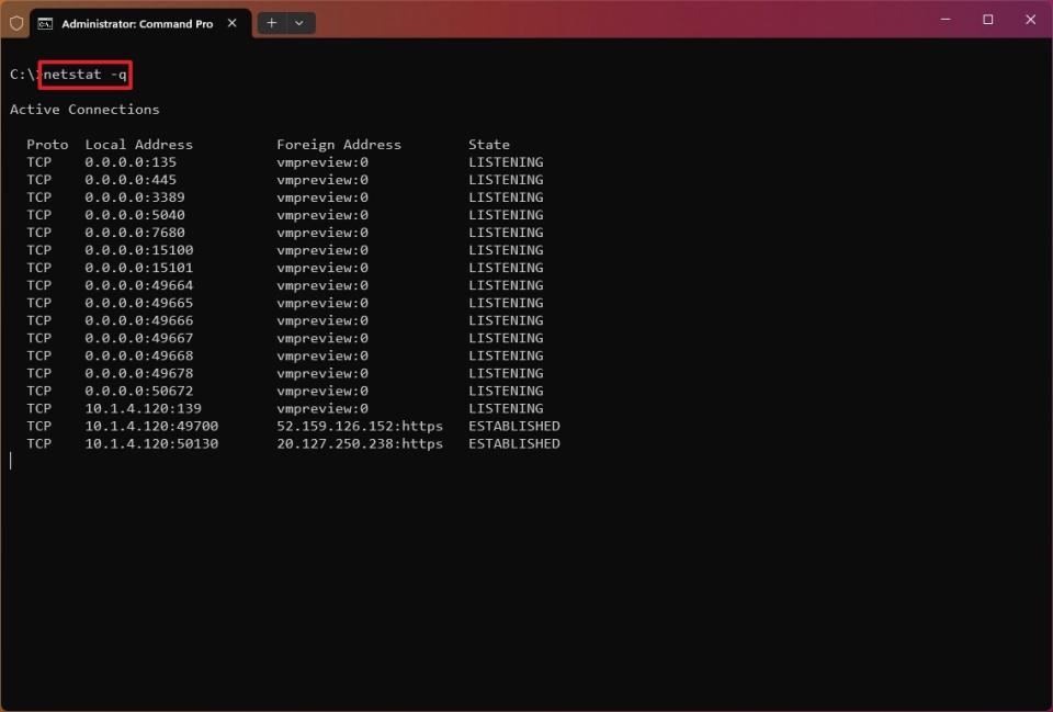 netstat -q command