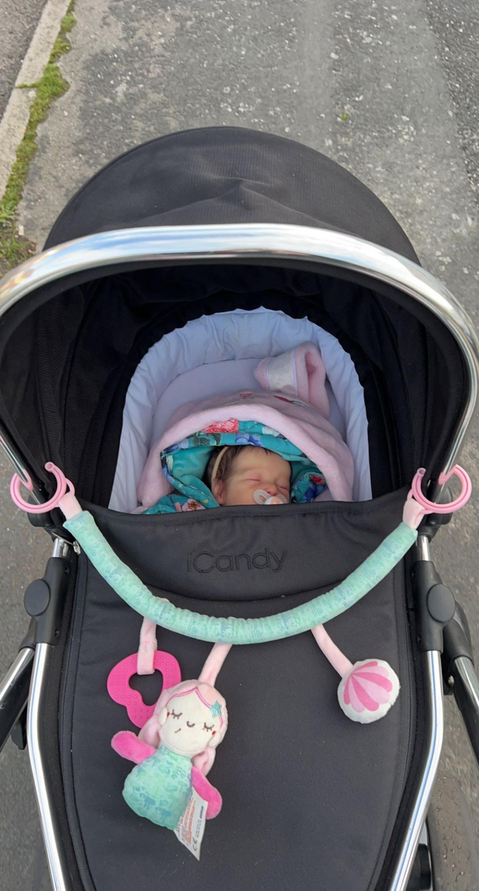 Natasha Harridge, 23, enjoying a walk with the stroller and her reborn baby (Collect/PA Real Life)