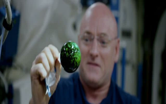 Astronaut Scott Kelly adds a effervescent tablet to the floating ball of water which had already been coloured green. Source: NASA.