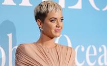 <p>Wer ist die amtierende Pop-Königin? Sängerin Katy Perry zählt mit 114 Millionen Followern zu den erfolgreichsten Musik-Stars auf Instagram. (Bild: Andreas Rentz/Getty Images)</p>