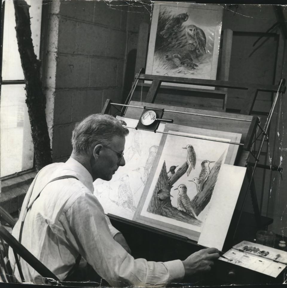 In 1943, Milwaukee Public Museum staff member Owen J. Gromme paints illustrations for the book "Birds of Wisconsin."