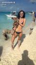 <p>Pig Beach is a real place and Bella is here to prove it.</p>