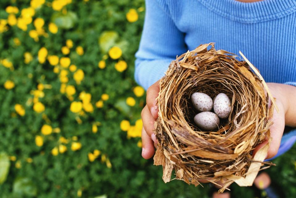 woman holding birds nest with eggs