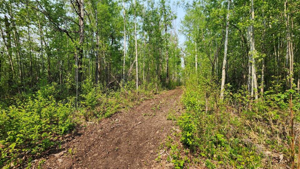 The trails take visitors through forests of birch, poplar and spruce where they may spot moose, deer or foxes.