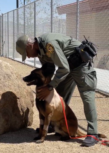 <em>A Las Vegas Metropolitan K9 officer is headed home after recovering from a stabbing last week. (LVMPD) </em>