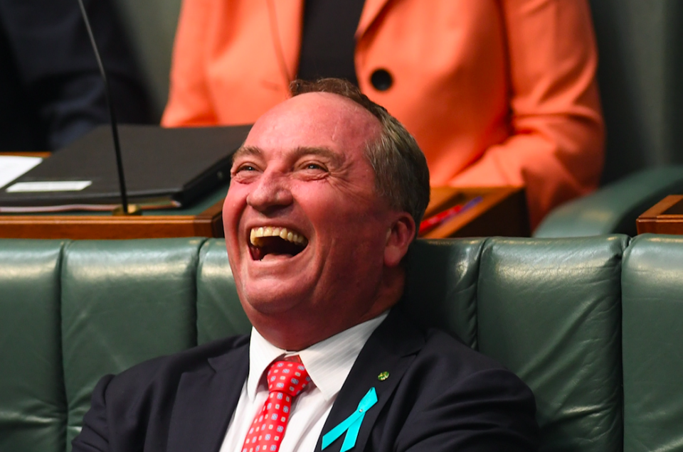 Australia's Deputy Prime Minister Barnaby Joyce's reaction said it all, as the fury erupted during Question Time on February 8. Photo: AAP